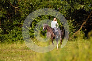 Young blond woman with long hair jockey rider jumping on a bay horse