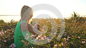 Young blond woman walking in the field and picking wild flowers in the evening.