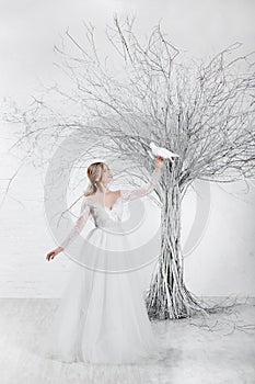 A young blonde bride in white wedding dress on a background of white walls and white tree in the background holds a