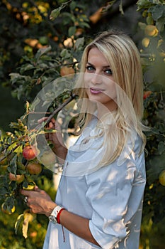 Vertical closeup portrait of a beautiful blonde on a background of an apple tree full of ripe apples