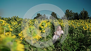 a young blonde girl in a sunflower field reads a book, looks around, waits