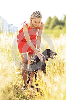 A young blonde woman in a bright dress stands in the middle of a field with a hunting dog. Happiness, freedom, summer, vacation,