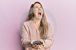 Young blonde woman holding coffee beans with hands angry and mad screaming frustrated and furious, shouting with anger looking up