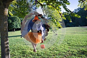 A young blonde woman in an orange hat and skirt with a pumpkin in her hand and with angel wings sitting on her back in an aerial