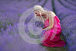 Young blondie in a lavender field