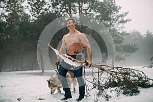 Young bodybuilder with bare torso leads dog Malamute and carries pine branch in his hand at walk in winter forest.