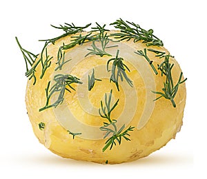 Young boiled potatoes in dill