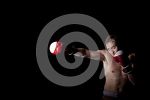 Young Boxer over black background