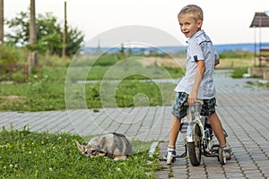 Young boy on a bicycle and sleeping dog