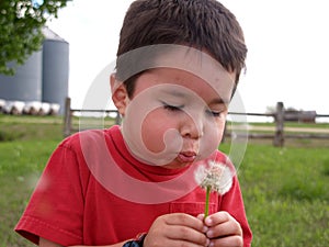 Young Boy Blowing a Dandelion