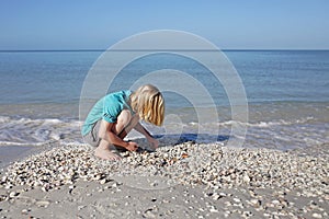 Young boy child collecting seashells on beach by ocean