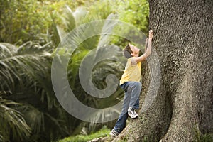 Young Boy Climbing Large Tree