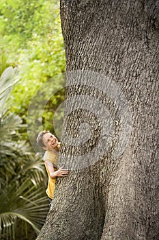 Young Boy Climbing Large Tree