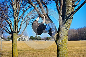 Young Boy Climbing Tree