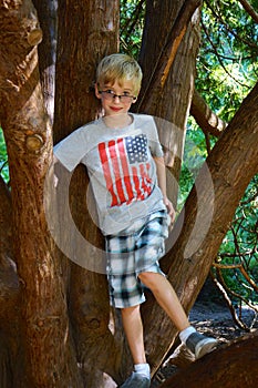 Young Boy Climbs Tree