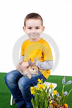 Young boy with colorful rabbit and spring flower