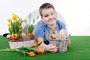Young boy with colorful rabbit and spring flower