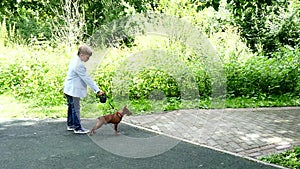 Young boy with dog in green park background slow motion.