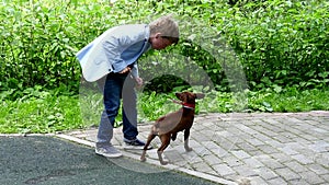 Young boy with dog in green park background slow motion.