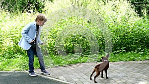 Young boy with dog in green park background slow motion.
