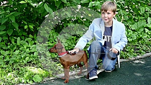 Young boy with dog in green park background slow motion.