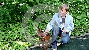 Young boy with dog in green park background slow motion.