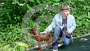 Young boy with dog in green park background slow motion.