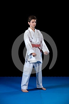 Young boy dressed in a white karate kimono with red belt.