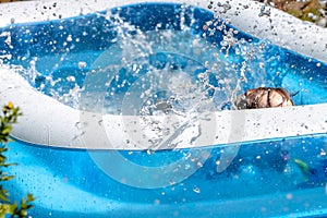 Young boy drowning in the swimming pool in the summer