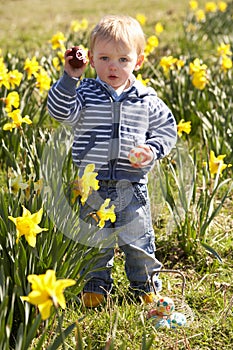 Young Boy On Easter Egg Hunt In Daffodil Field