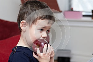 young boy eating an apple in the livingroom