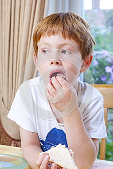 Young boy eating a sandwich