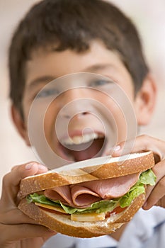 Mladý chlapec jíst sendvič 