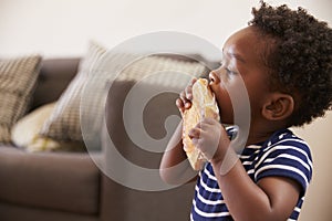 Young Boy Eating Toasted Sandwich At Home