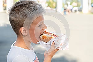 Young boy enjoying a delicious hot dog at sunny day outdoor