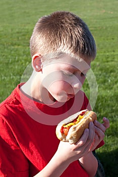 Young Boy enjoying a Hot Dog