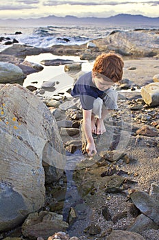 Young boy exploring on the beach