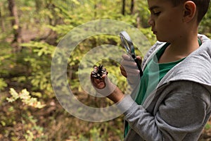 young boy exploring nature in the forest with magnifying glass