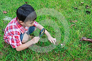 Young boy exploring nature with magnifying glass. Outdoors in th