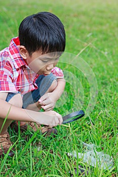 Young boy exploring nature with magnifying glass. Outdoors in th