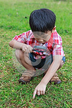 Young boy exploring nature with magnifying glass. Outdoors in th