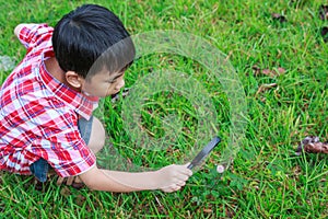 Young boy exploring nature with magnifying glass. Outdoors in th
