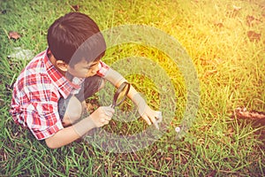 Young boy exploring nature with magnifying glass. Outdoors in th