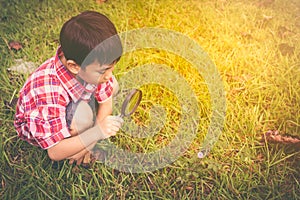 Young boy exploring nature with magnifying glass. Outdoors in th