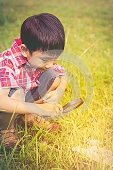 Young boy exploring nature with magnifying glass. Outdoors in th