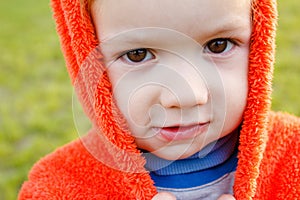 Young boy exploring nature in a meadow