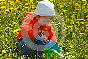 Young boy exploring nature in a meadow