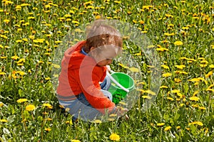 Young boy exploring nature in a meadow