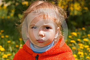 Young boy exploring nature in a meadow