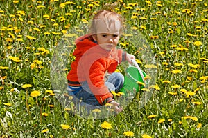 Young boy exploring nature in a meadow